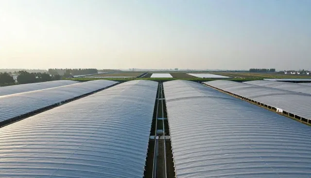 网站维护选型与使用建议：提升网站运营效率的关键