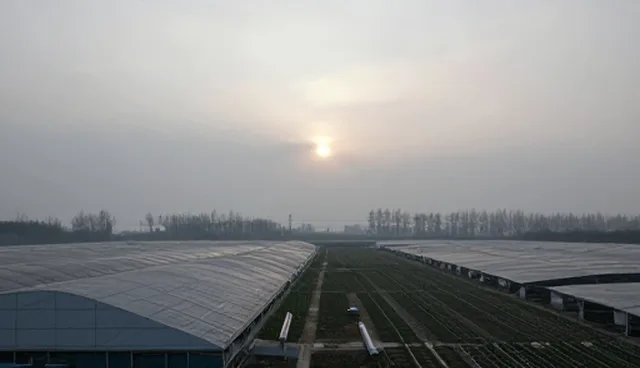 服务器配置对网络性能的影响与适用场景分析